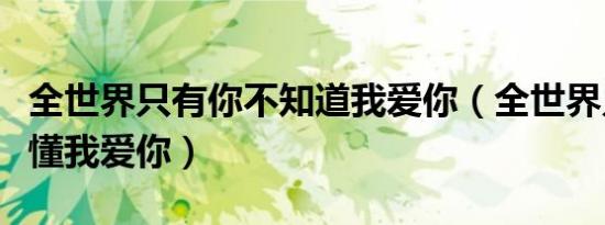 全世界只有你不知道我爱你（全世界只有你不懂我爱你）
