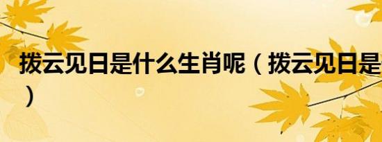 拨云见日是什么生肖呢（拨云见日是什么生肖）
