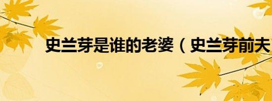 史兰芽是谁的老婆（史兰芽前夫）
