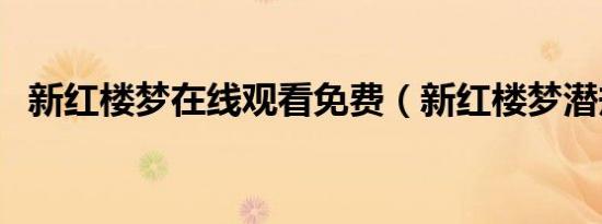 新红楼梦在线观看免费（新红楼梦潜规则）