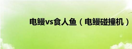 电鳗vs食人鱼（电鳗碰撞机）