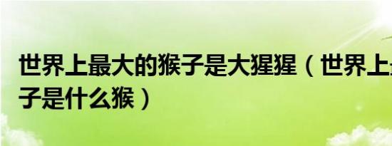 世界上最大的猴子是大猩猩（世界上最大的猴子是什么猴）