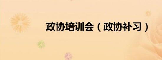 政协培训会（政协补习）