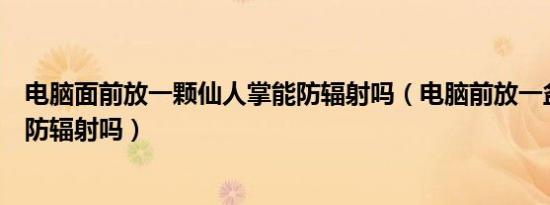 电脑面前放一颗仙人掌能防辐射吗（电脑前放一盆仙人掌能防辐射吗）