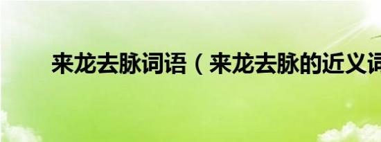 来龙去脉词语（来龙去脉的近义词）