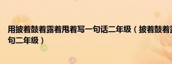 用披着鼓着露着甩着写一句话二年级（披着鼓着露着甩着造句二年级）