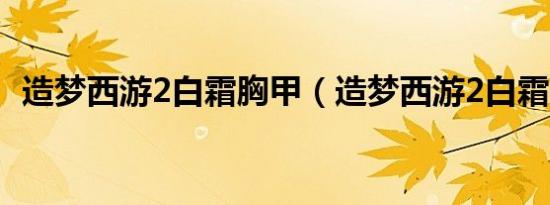 造梦西游2白霜胸甲（造梦西游2白霜胸甲）
