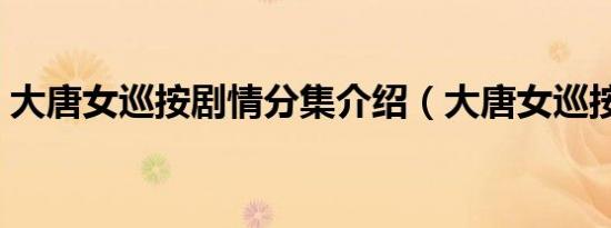 大唐女巡按剧情分集介绍（大唐女巡按结局）