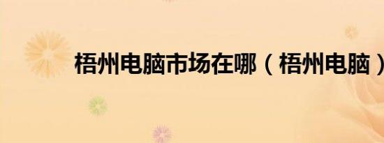 梧州电脑市场在哪（梧州电脑）