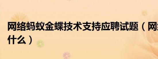 网络蚂蚁金蝶技术支持应聘试题（网络蚂蚁是什么）