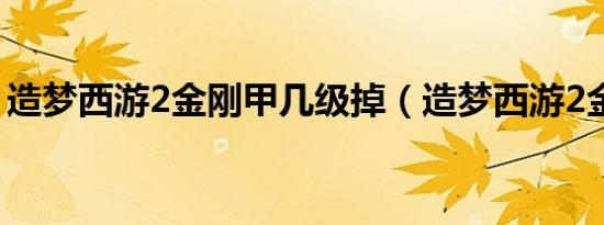 造梦西游2金刚甲几级掉（造梦西游2金刚甲）