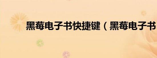黑莓电子书快捷键（黑莓电子书）