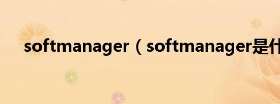softmanager（softmanager是什么）