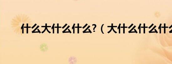 什么大什么什么?（大什么什么什么）