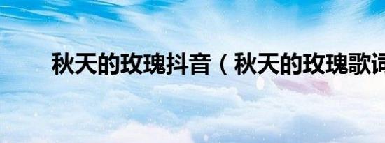 秋天的玫瑰抖音（秋天的玫瑰歌词）
