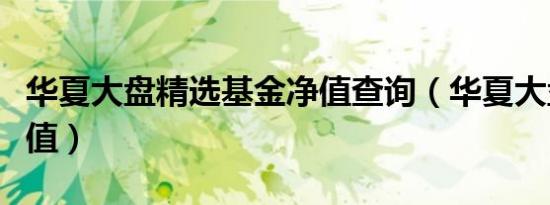 华夏大盘精选基金净值查询（华夏大盘精选净值）