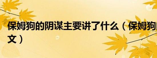 保姆狗的阴谋主要讲了什么（保姆狗的阴谋全文）