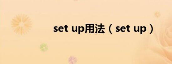 set up用法（set up）