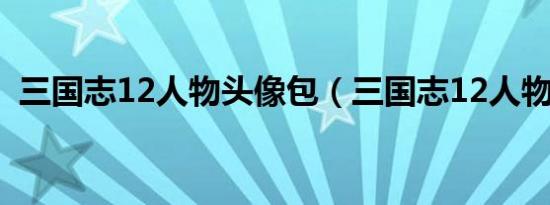 三国志12人物头像包（三国志12人物头像）