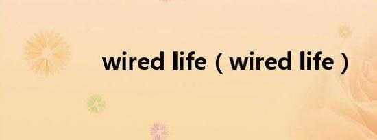 wired life（wired life）