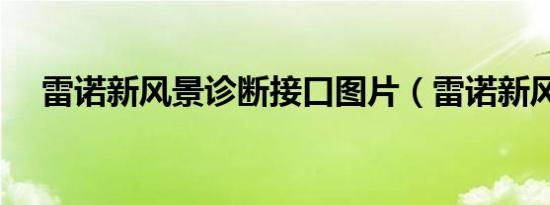 雷诺新风景诊断接口图片（雷诺新风景）