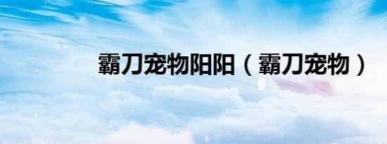 霸刀宠物阳阳（霸刀宠物）