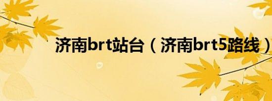 济南brt站台（济南brt5路线）