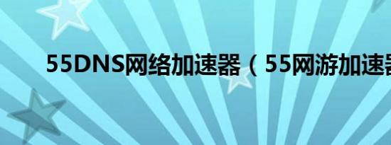 55DNS网络加速器（55网游加速器）