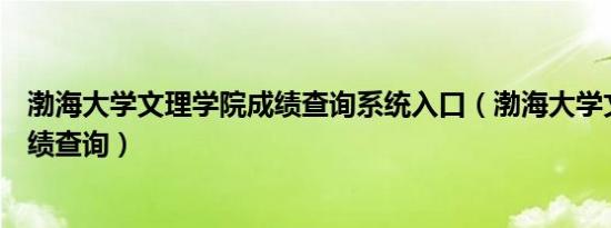 渤海大学文理学院成绩查询系统入口（渤海大学文理学院成绩查询）