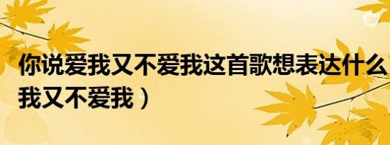 你说爱我又不爱我这首歌想表达什么（你说爱我又不爱我）