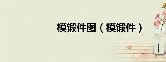模锻件图（模锻件）