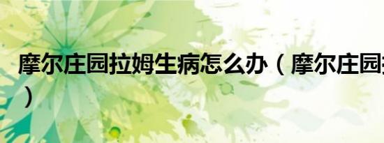 摩尔庄园拉姆生病怎么办（摩尔庄园拉姆日记）