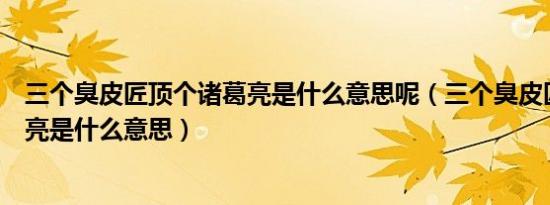 三个臭皮匠顶个诸葛亮是什么意思呢（三个臭皮匠顶个诸葛亮是什么意思）