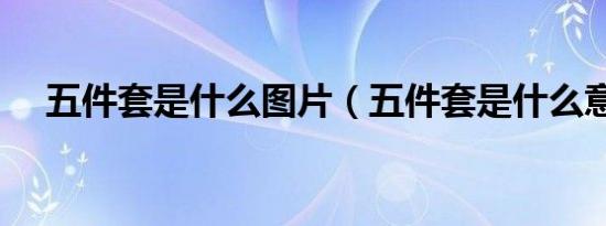 五件套是什么图片（五件套是什么意思）