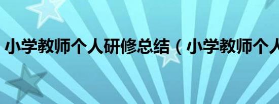 小学教师个人研修总结（小学教师个人小结）