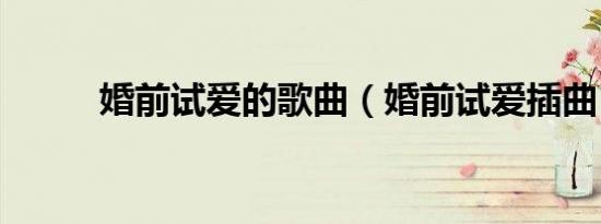 婚前试爱的歌曲（婚前试爱插曲）