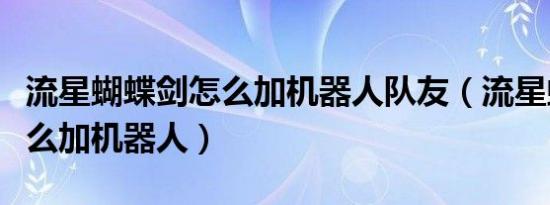 流星蝴蝶剑怎么加机器人队友（流星蝴蝶剑怎么加机器人）