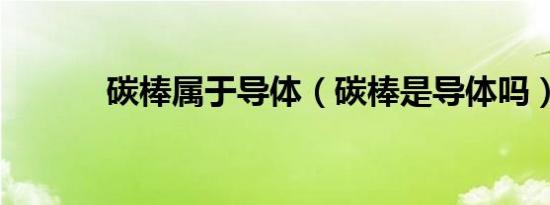 碳棒属于导体（碳棒是导体吗）