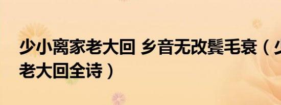少小离家老大回 乡音无改鬓毛衰（少小离家老大回全诗）