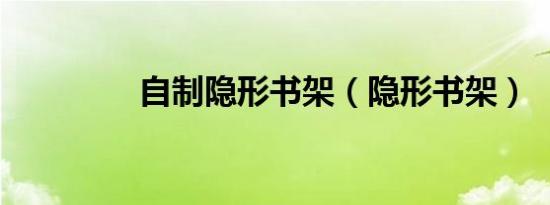 自制隐形书架（隐形书架）