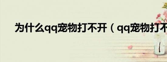为什么qq宠物打不开（qq宠物打不开）