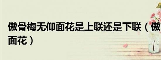 傲骨梅无仰面花是上联还是下联（傲骨梅无仰面花）