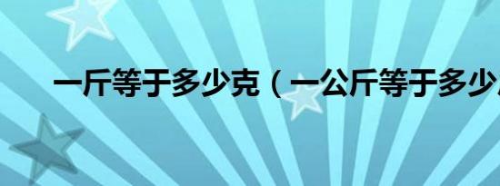 一斤等于多少克（一公斤等于多少斤）