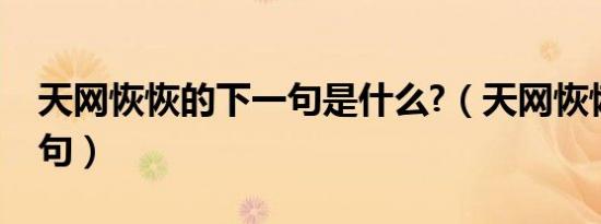 天网恢恢的下一句是什么?（天网恢恢的下一句）