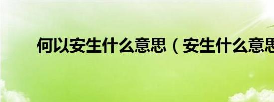 何以安生什么意思（安生什么意思）
