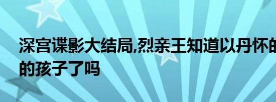 深宫谍影大结局,烈亲王知道以丹怀的是皇上的孩子了吗