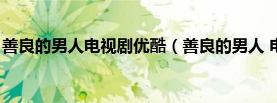善良的男人电视剧优酷（善良的男人 电视剧）