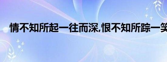 情不知所起一往而深,恨不知所踪一笑而泯
