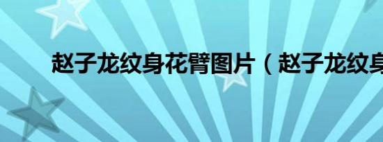赵子龙纹身花臂图片（赵子龙纹身）
