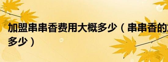 加盟串串香费用大概多少（串串香的加盟费是多少）